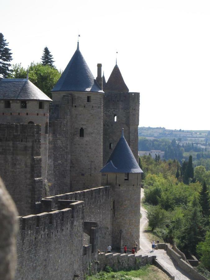 Maison De La Fontaine Embres-et-Castelmaure المظهر الخارجي الصورة